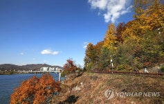 양평 갈산공원 산책로