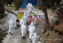 오리농장 AI 검출