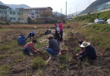 사회적 농업이 치료약…경남도, 정신장애인 재활프로그램 성과