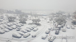 눈 쌓인 제천시청 주차장