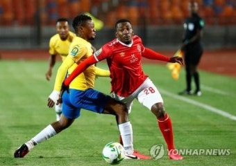 남아공 축구스타 2명, 한 달 내 잇단 교통사고 사망
