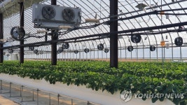 [다가온 기후위기] ④기후위기는 곧 식량위기…한반도 농업지도도 바뀐다