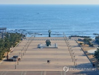 해맞이 오지 마세요