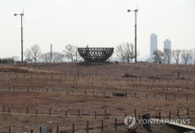 해맞이 행사 취소됐습니다