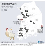 예산 육용종계 농장서 고병원성 AI 확진…국내 농장 28번째