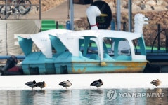 오리와 오리배