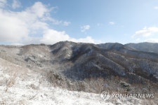 눈 내리는 상당산성