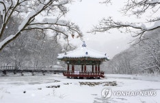 흰옷으로 갈아입은 정읍 내장산