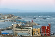 해맞이하러 나온 관광객