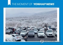 [모멘트] 사회적 거리두기 어려운 제주 1100고지 습지