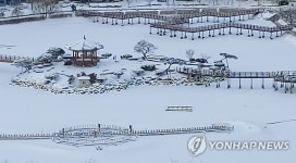 눈 덮인 서산 중앙호수공원