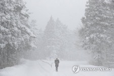 폭설 내린 제주 사려니숲길