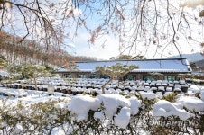 눈 쌓인 뒤웅박고을