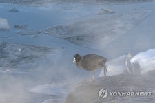 온기가 필요해