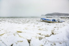꽁꽁 얼어붙은 서산 앞바다