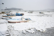 꽁꽁 얼어붙은 서산 앞바다