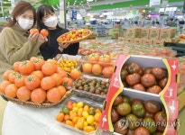 영양 담긴 토마토 맛보세요