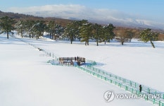 제주마방목지의 겨울