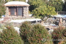 겨울 제주 산책