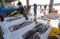 제철 맞은 대구