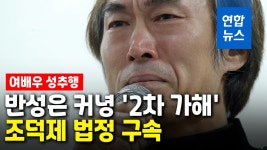 [영상] 성추행 이어 허위사실 유포…조덕제 징역 1년 법정구속