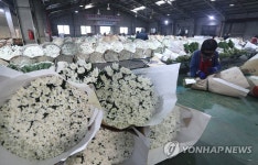 대목 놓친 화훼업계 울상