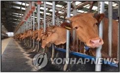 영광군, 올해 깨끗한 축산 농장 100호 지정