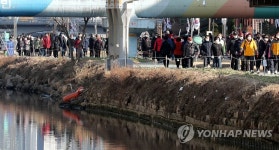 포근한 대한, 온천천 산책길