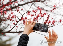 이른 봄을 담다