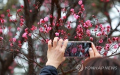 이른 봄을 담다