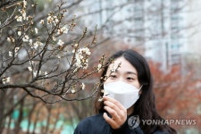 벌써 봄인가…포항시청 인근 산자락에 매화가 활짝