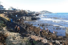 괭생이모자반의 제주 해안 침공