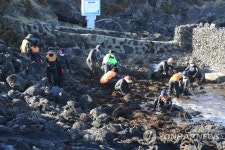 괭생이모자반의 제주 해안 침공