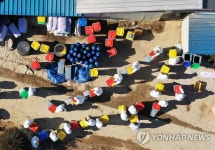 안성서 5번째 농장 내 AI…보름 새 전체 가금류 27% 살처분