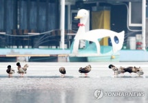 오리와 오리배