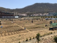 [광명소식] 주말시민농장 참여자 552명 모집