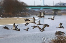 이순신 장군 따라 걷는 백의종군길