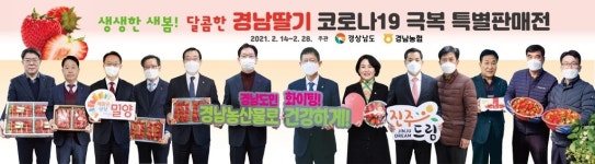 경남 딸기 맛보세요…28일까지 전국 71개 매장서 특별판매
