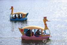 오리배 즐기는 봄