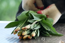 코로나 장기화로 화훼농가 위기…서울시 꽃 소비 캠페인