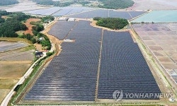 멀쩡한 땅에 염해 있다고…서남해안 간척지 태양광 시설 몸살
