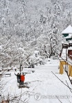 폭설에 설국으로 변한 강릉 펜션단지