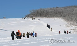 폭설이 선사한 평화로운 풍경