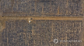 LH 직원 투기 의혹 토지에 방치된 작물