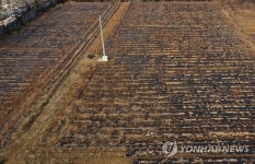 LH 직원 투기 의혹 토지에 방치된 작물