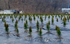 광명시흥 논밭 매수자 40%는 서울시민…토지보상 개선 필요