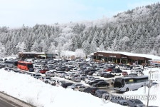 차량으로 가득한 주차장