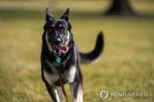 바이든 퍼스트독 경호원 물어 원래 살던 자택으로