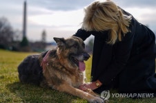 바이든 퍼스트독 경호원 물어 원래 살던 자택으로