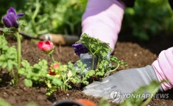 봄을 심다